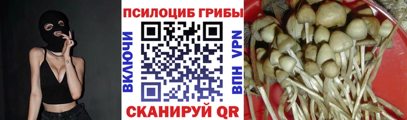 где найти   Мензелинск  shop Telegram  Галлюциногенные грибы ЛСД  ОМГ ОМГ ONION 
